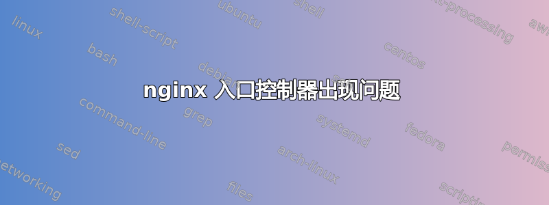 nginx 入口控制器出现问题