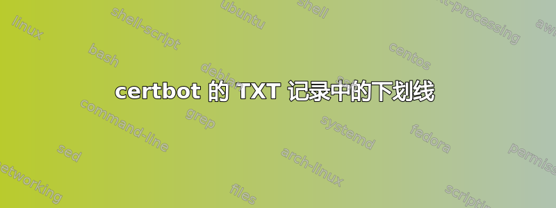 certbot 的 TXT 记录中的下划线