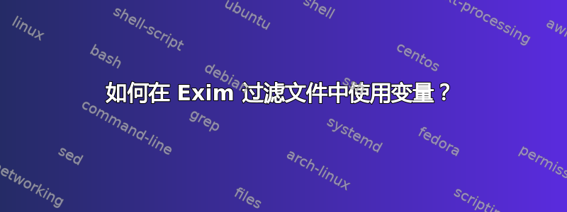 如何在 Exim 过滤文件中使用变量？