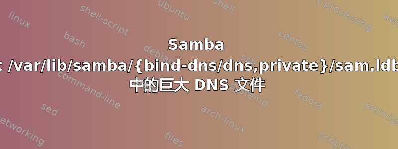 Samba AD：/var/lib/samba/{bind-dns/dns,private}/sam.ldb.d/ 中的巨大 DNS 文件