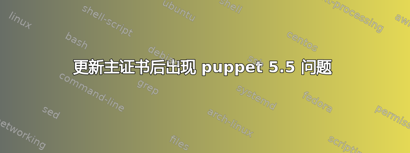 更新主证书后出现 puppet 5.5 问题