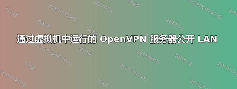 通过虚拟机中运行的 OpenVPN 服务器公开 LAN