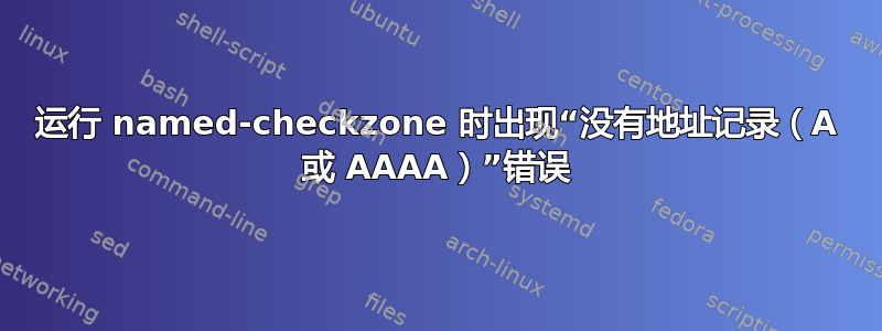 运行 named-checkzone 时出现“没有地址记录（A 或 AAAA）”错误