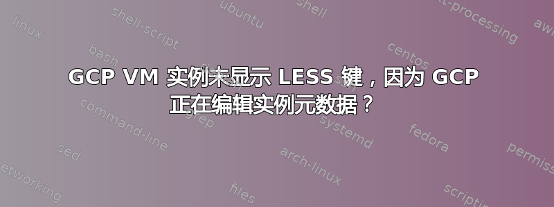 GCP VM 实例未显示 LESS 键，因为 GCP 正在编辑实例元数据？