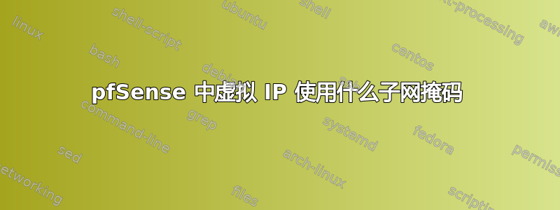 pfSense 中虚拟 IP 使用什么子网掩码