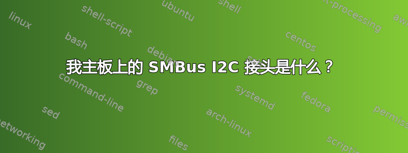 我主板上的 SMBus I2C 接头是什么？