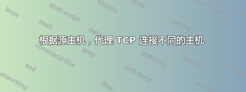 根据源主机，代理 TCP 连接不同的主机