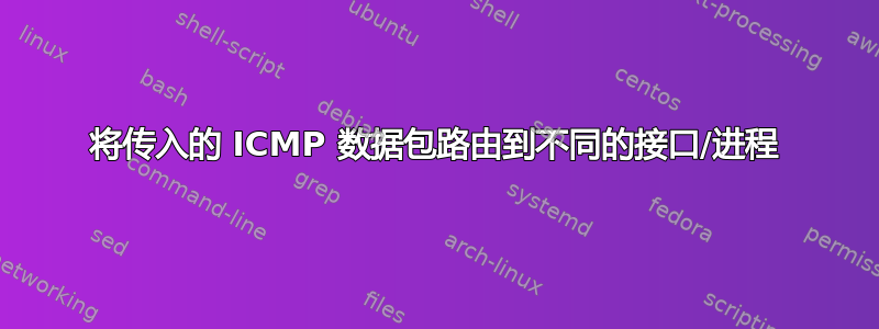 将传入的 ICMP 数据包路由到不同的接口/进程