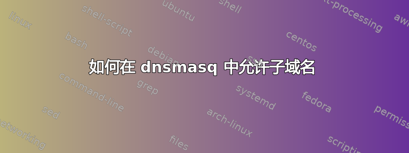 如何在 dnsmasq 中允许子域名