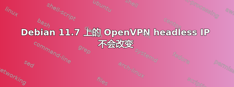 Debian 11.7 上的 OpenVPN headless IP 不会改变