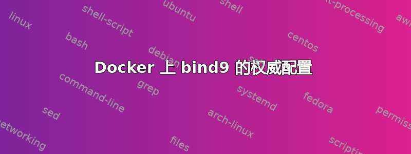 Docker 上 bind9 的权威配置