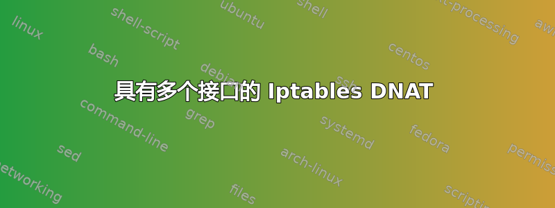 具有多个接口的 Iptables DNAT