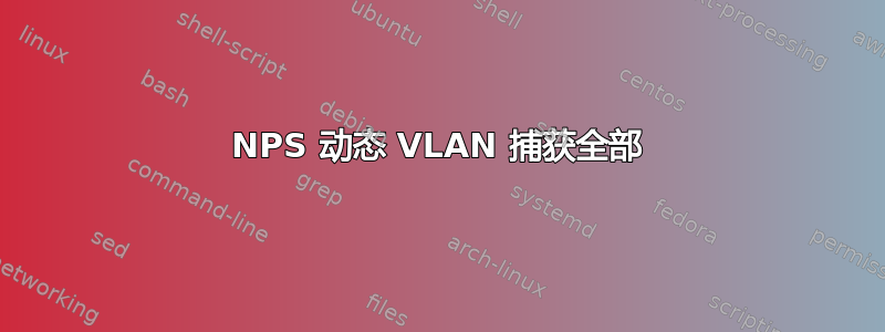 NPS 动态 VLAN 捕获全部