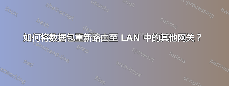 如何将数据包重新路由至 LAN 中的其他网关？