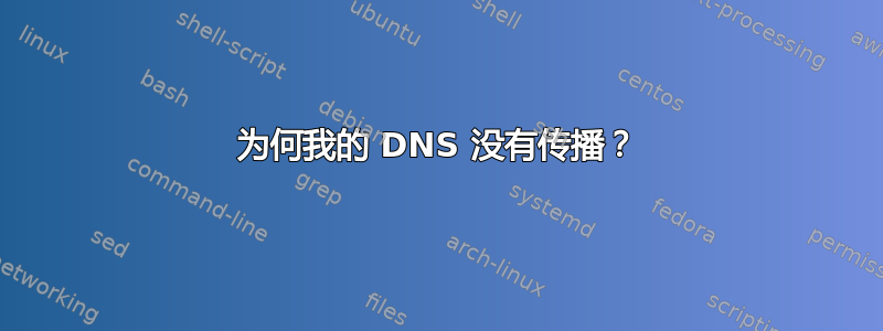 为何我的 DNS 没有传播？