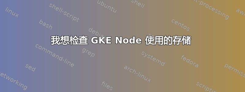 我想检查 GKE Node 使用的存储