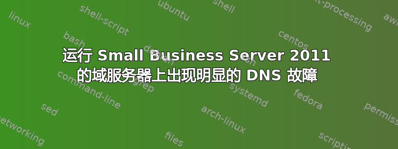 运行 Small Business Server 2011 的域服务器上出现明显的 DNS 故障