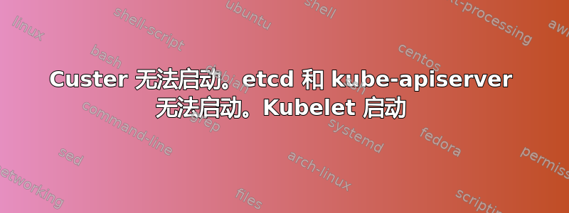 Custer 无法启动。etcd 和 kube-apiserver 无法启动。Kubelet 启动