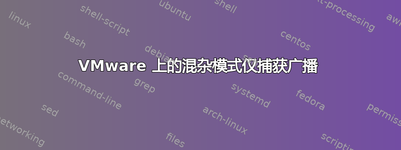 VMware 上的混杂模式仅捕获广播