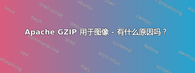 Apache GZIP 用于图像 - 有什么原因吗？