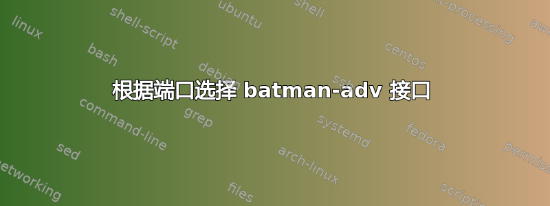 根据端口选择 batman-adv 接口