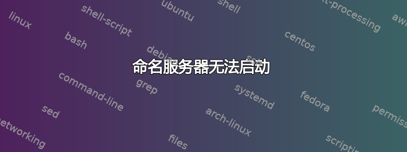 命名服务器无法启动