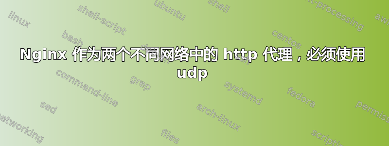 Nginx 作为两个不同网络中的 http 代理，必须使用 udp