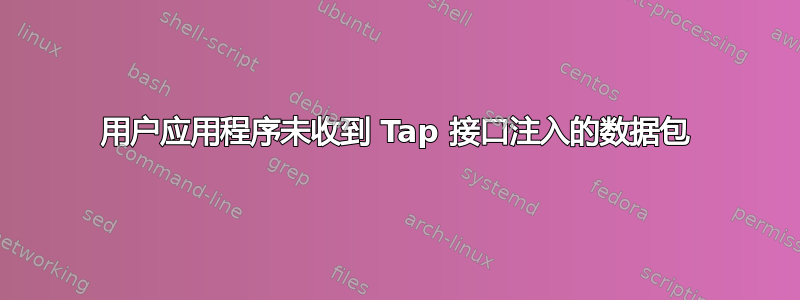 用户应用程序未收到 Tap 接口注入的数据包