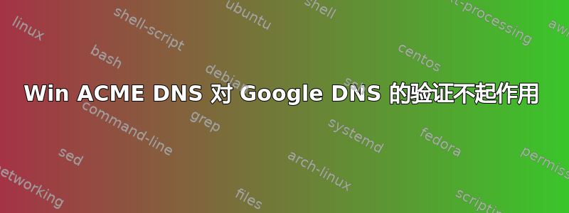 Win ACME DNS 对 Google DNS 的验证不起作用