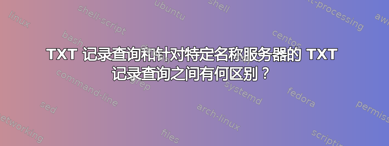 TXT 记录查询和针对特定名称服务器的 TXT 记录查询之间有何区别？