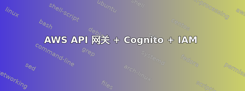 AWS API 网关 + Cognito + IAM