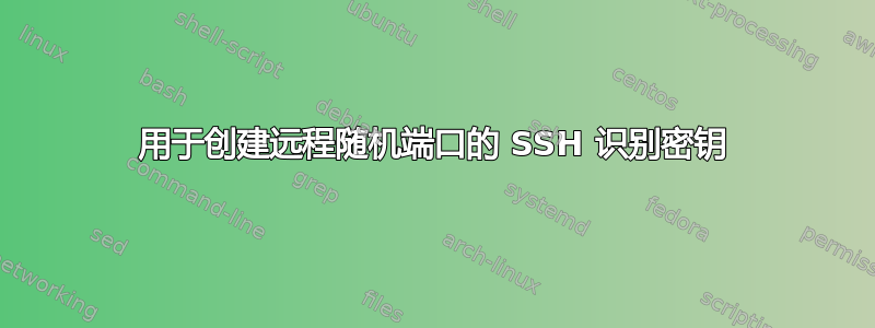 用于创建远程随机端口的 SSH 识别密钥