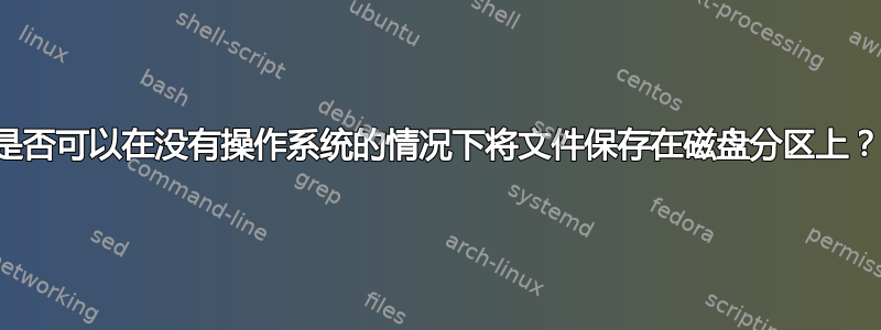 是否可以在没有操作系统的情况下将文件保存在磁盘分区上？