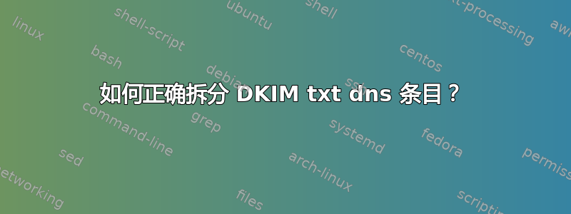 如何正确拆分 DKIM txt dns 条目？