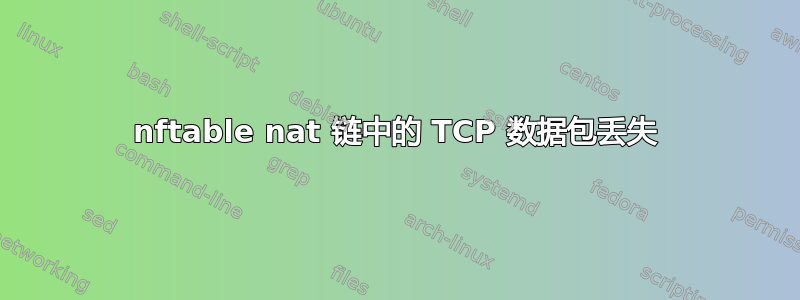 nftable nat 链中的 TCP 数据包丢失