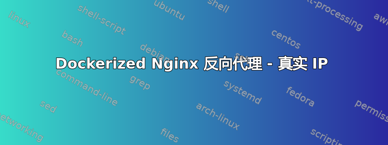 Dockerized Nginx 反向代理 - 真实 IP