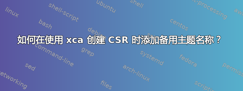 如何在使用 xca 创建 CSR 时添加备用主题名称？