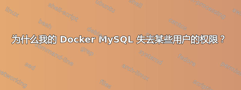 为什么我的 Docker MySQL 失去某些用户的权限？