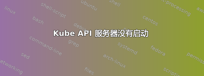 Kube API 服务器没有启动