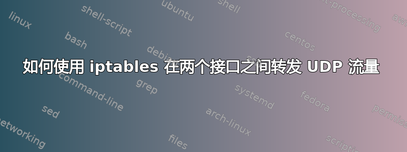 如何使用 iptables 在两个接口之间转发 UDP 流量