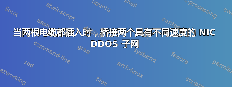 当两根电缆都插入时，桥接两个具有不同速度的 NIC DDOS 子网