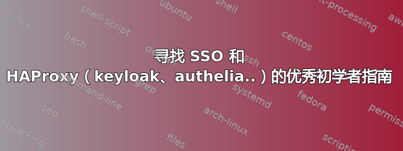 寻找 SSO 和 HAProxy（keyloak、authelia..）的优秀初学者指南