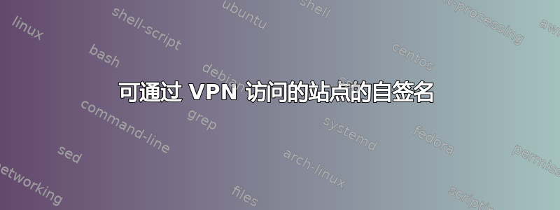 可通过 VPN 访问的站点的自签名