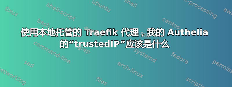 使用本地托管的 Traefik 代理，我的 Authelia 的“trustedIP”应该是什么