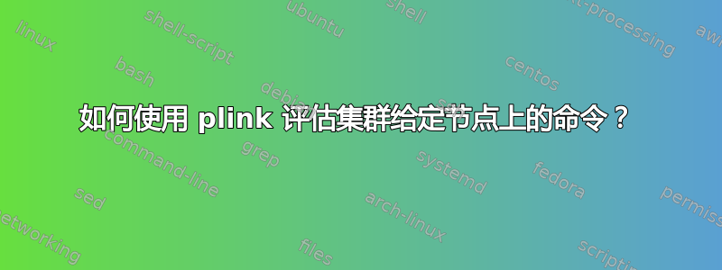 如何使用 plink 评估集群给定节点上的命令？