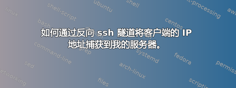 如何通过反向 ssh 隧道将客户端的 IP 地址捕获到我的服务器。