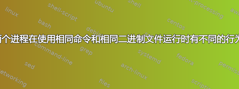 两个进程在使用相同命令和相同二进制文件运行时有不同的行为