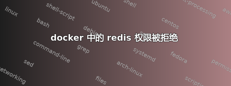 docker 中的 redis 权限被拒绝