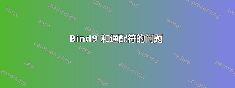 Bind9 和通配符的问题