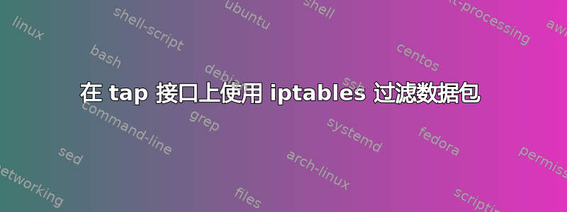 在 tap 接口上使用 iptables 过滤数据包